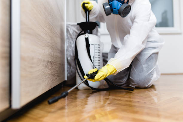 Best Mosquito Control Services  in Wright City, MO
