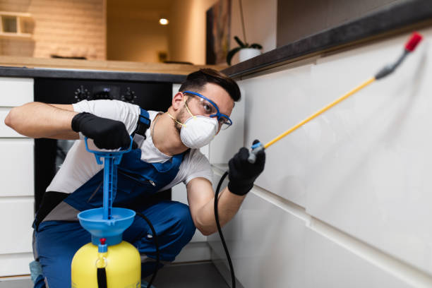 Best Pest Inspection Near Me  in Wright City, MO