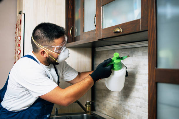 Best Exterminator Services  in Wright City, MO