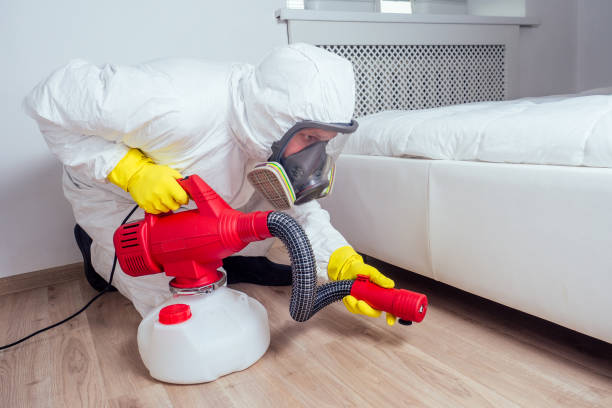 Best Emergency Pest Control  in Wright City, MO