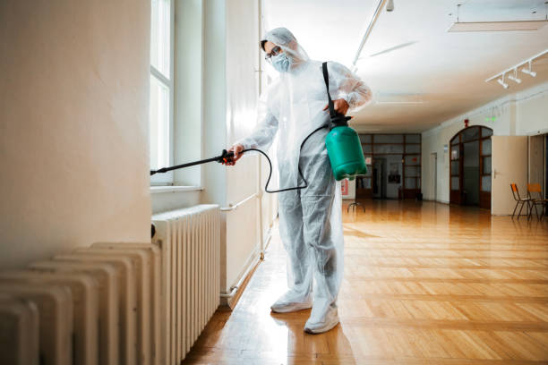 Flea Control Services in Wright City, MO